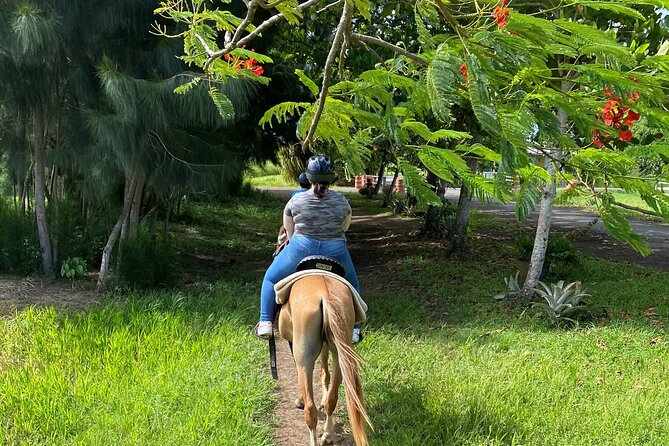 Scenic Horseback Riding Tour from San Juan - The 240-pound rule deserves serious attention