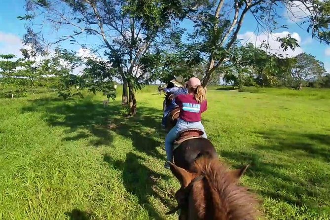 Scenic Horseback Riding Tour from San Juan - Price and value at $169 per person