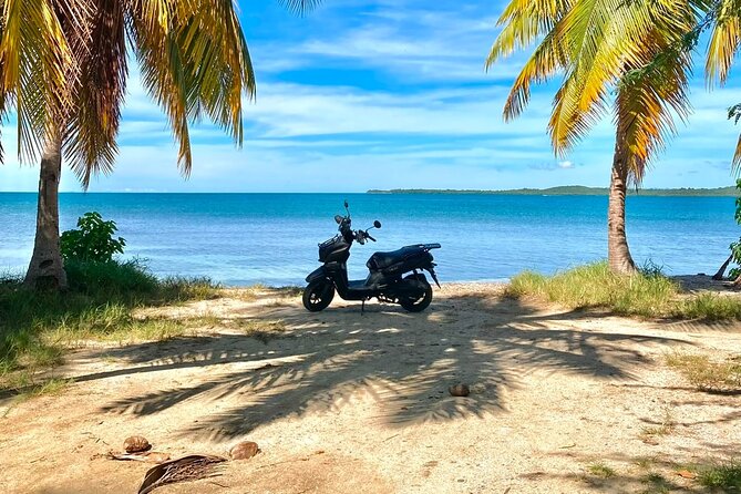 Scooter Rental San Juan Puerto Rico - Two hours in El Yunque National Forest