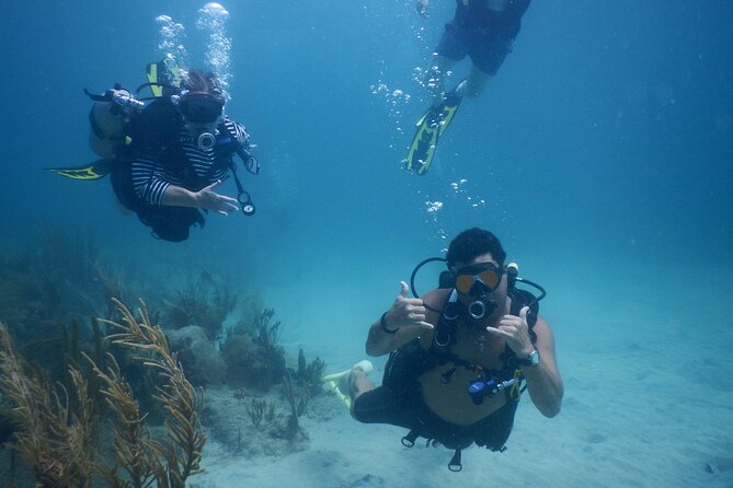 Scuba Dive and Snorkel Private Charter in Puerto Rico - Key points to know before booking