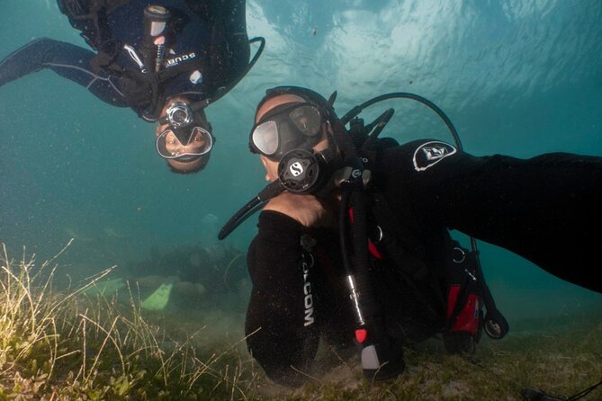 Scuba Tour for Certified Divers in San Juan - A 45-minute underwater route with several things to find