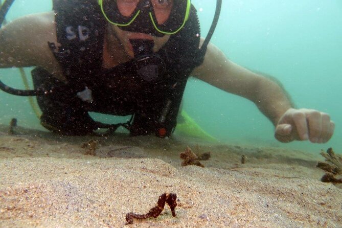 Scuba Tour for Certified Divers in San Juan - How this compares with a boat-based scuba day