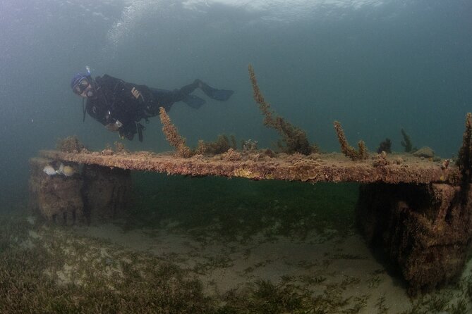 Scuba Tour for Certified Divers in San Juan - Practical timing and booking advice