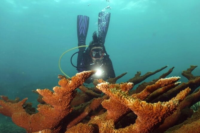 Scuba Tour for Certified Divers in San Juan - Why a small group makes a difference