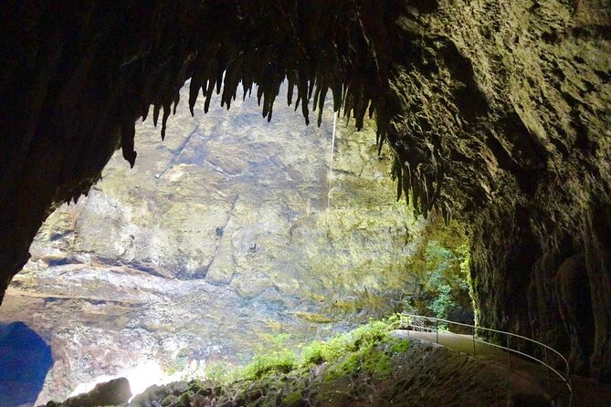Secret Spots in North Puerto Rico: Self Guided Tour - What the $5 map really gives you