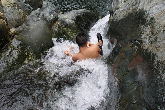 Self-Drive Half-Day Waterslide Yunque Tour - Following the forest road into El Yunque