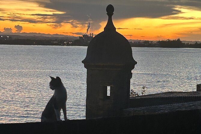 Signs and Wonders in Old San Juan History Culture and Mysteries - Key points to know before you go