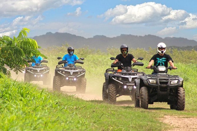 Single ATV Experience: Free Piña Colada + Hacienda Transfer - The Horse Stables and Paso Fino Horses