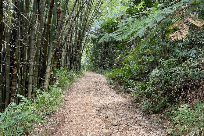 Small Group El Yunque Half Day Tour with Transport: Waterslide - What to bring, and what to leave behind