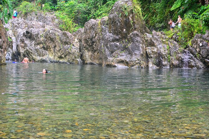 Small-Group El Yunque Rainforest Vivid Day Tour with Transport - Key Points Before You Book