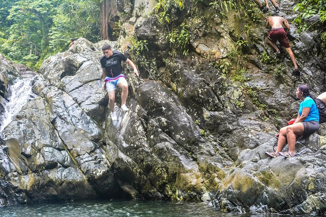 Small-Group El Yunque Rainforest Vivid Day Tour with Transport - The Upper Pool and Waterfall: Where the Adventure Peaks