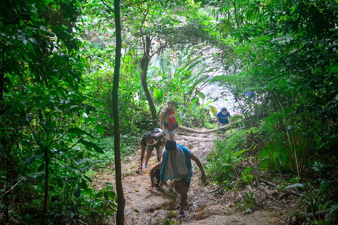 Small-Group El Yunque Rainforest Vivid Day Tour with Transport - Saturday Routes Require Extra Care