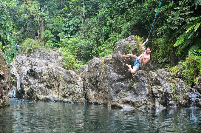 Small-Group El Yunque Rainforest Vivid Day Tour with Transport - Small Groups and Guide Quality