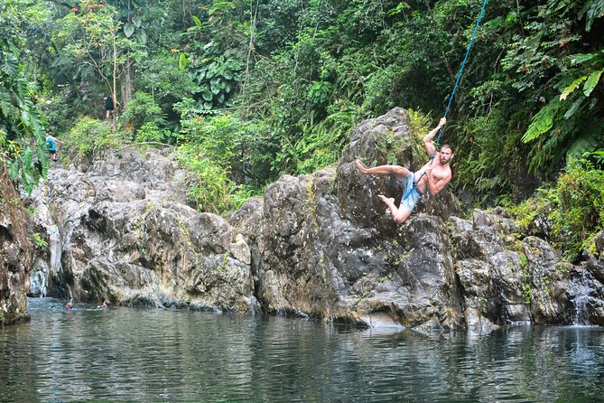 Small-Group El Yunque Rainforest Vivid Day Tour with Transport - Is $75 a Fair Price?