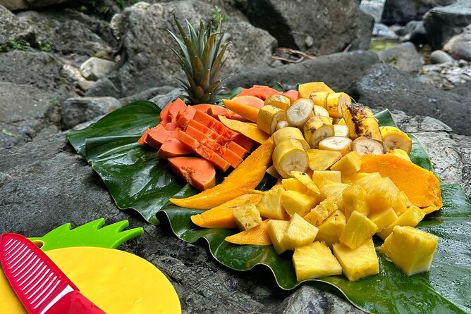 Small-Group El Yunque Rainforest with Transport Half Day - The guides make the difference