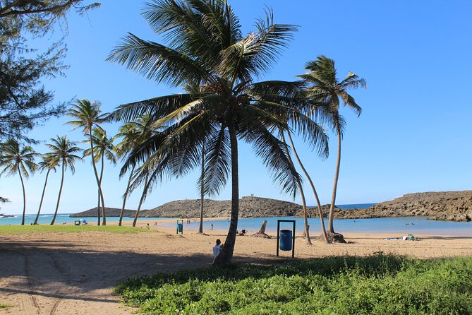 Small-Group North Coast Beach Hopping Adventure in Puerto Rico - Puerto Nuevo Beach and its two types of water