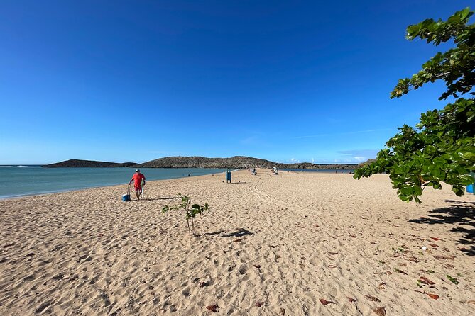 Small-Group North Coast Beach Hopping Adventure in Puerto Rico - Roberto and the value of a small group
