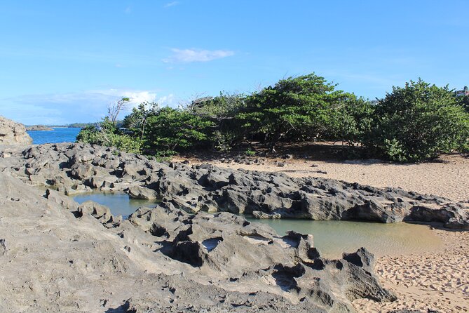 Small-Group North Coast Beach Hopping Adventure in Puerto Rico - Vega Baja and the 45-minute taste of chinchorreo