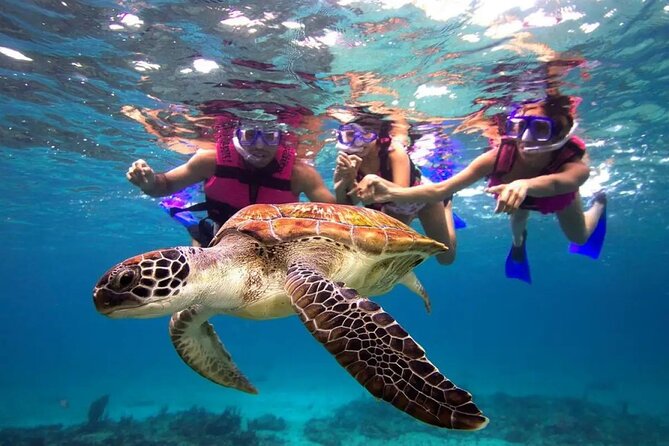 Snorkel, Swim & Snap-w/ Video - Key points to know before booking