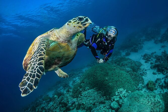 Snorkel, Swim & Snap-w/ Video - What this Puerto Rico snorkeling tour actually includes
