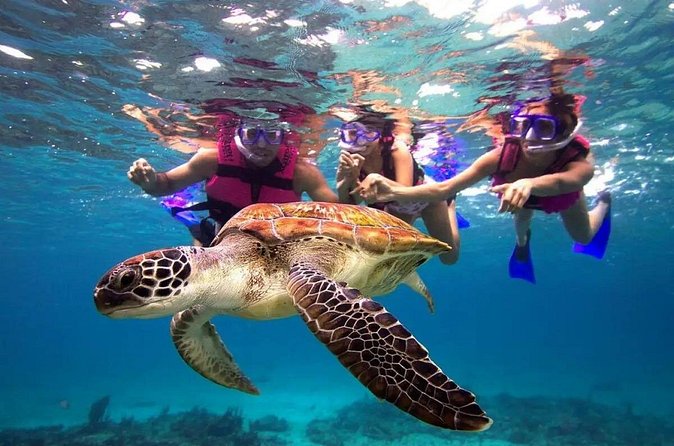 Snorkel, Swim & Snap-w/ Video - Is $95 per person a fair price?