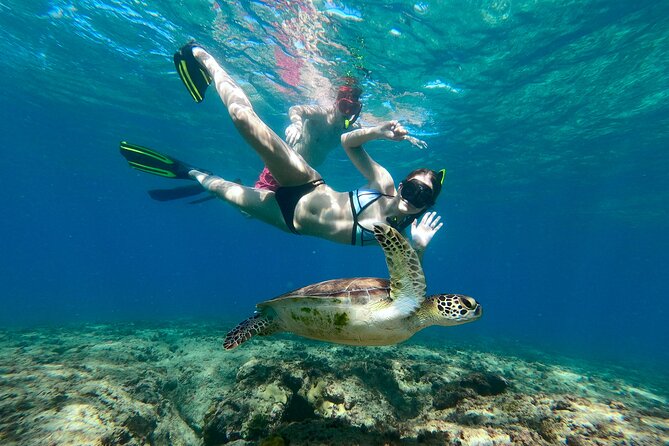 Snorkeling Adventure in Aguadilla - Key points before you book