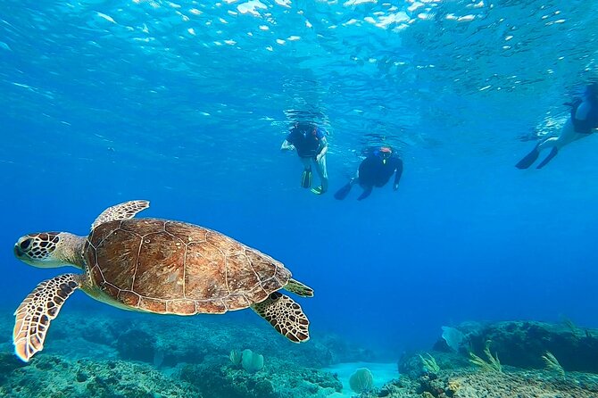 Snorkeling Adventure in Aguadilla - Starting at Ramey Bakery and Peña Blanca Beach