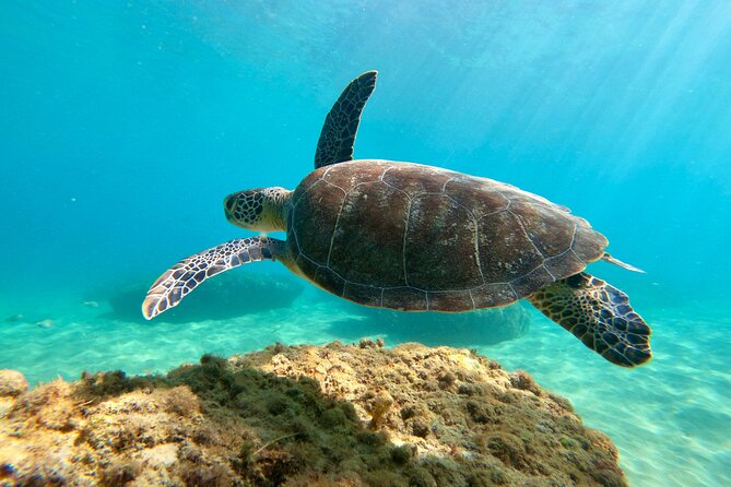 Snorkeling Adventure in Aguadilla - Planning around weather and visibility