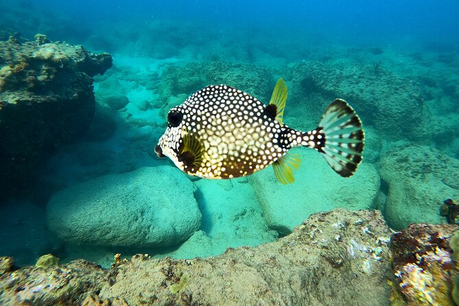Snorkeling Adventure in Aguadilla - Getting fitted for the water