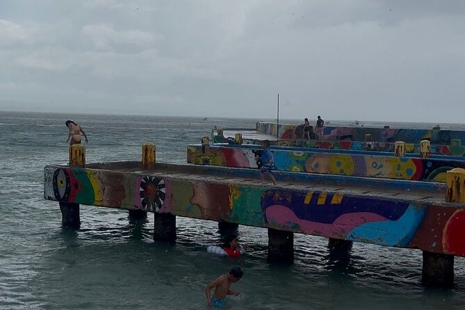 Snorkeling and Sightseeing Tour Explore Puerto Rico Marine Life - A full day from San Juan to Puerto Rico’s west coast