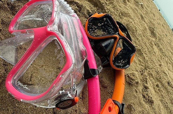 Snorkeling and Sightseeing Tour Explore Puerto Rico Marine Life - Puente La Bellaca and the Quebradillas canyon