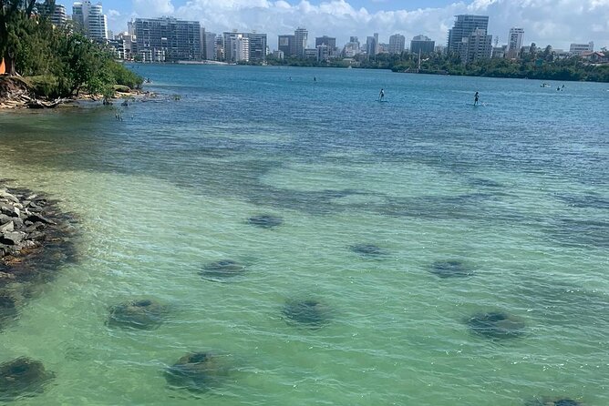 Snorkeling Guided Tour Experience in Condado Lagoon - Key points before you book