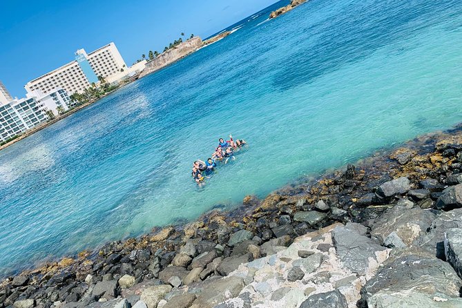 Snorkeling Guided Tour Experience in Condado Lagoon - Getting fitted with snorkeling gear