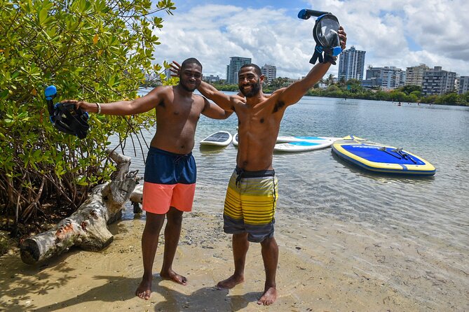 Snorkeling Guided Tour Experience in Condado Lagoon - The animals you may see, and those you may not