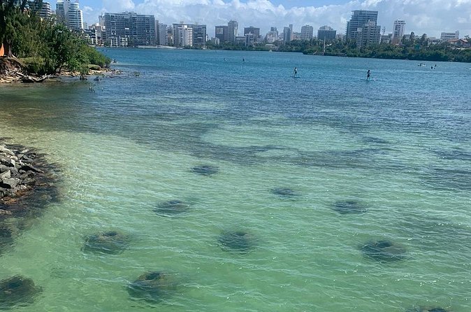Snorkeling Guided Tour Experience in Condado Lagoon - Is $55 a fair price?