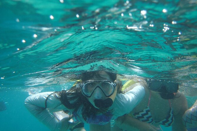 Snorkeling Guided Tour Experience in Condado Lagoon - Who should book this Condado Lagoon tour?
