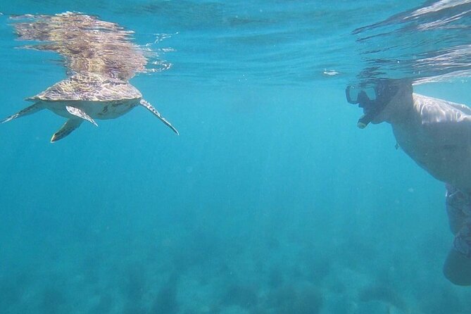 Snorkeling in Paradise - Videos Included - The first 20 minutes: safety, equipment, and confidence
