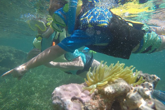 Snorkeling & Kayak Eco-Adventure in Puerto Rico - Paddling Through the Cabezas de San Juan Reserve