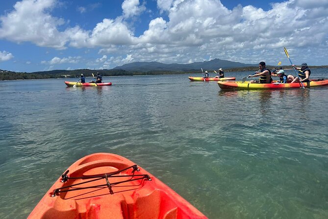 Snorkeling & Kayak Eco-Adventure in Puerto Rico - How Beginner-Friendly Is It?