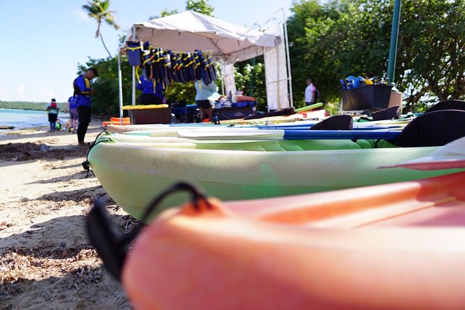 Snorkeling & Kayak Eco-Adventure in Puerto Rico - Sustainability in a Working Natural Area