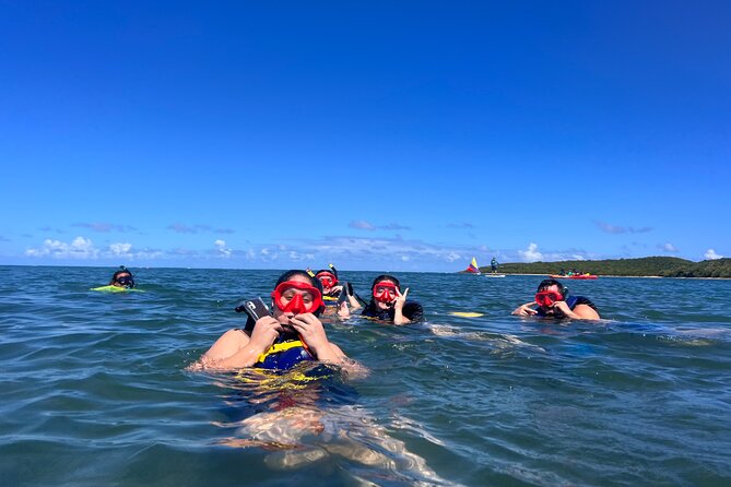 Snorkeling & Kayak Eco-Adventure in Puerto Rico - Weather, Cancellations, and Realistic Expectations