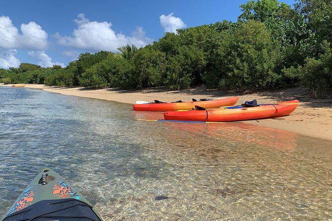 Snorkeling & Kayak Eco-Adventure in Puerto Rico - Reaching the Reef From the Beach