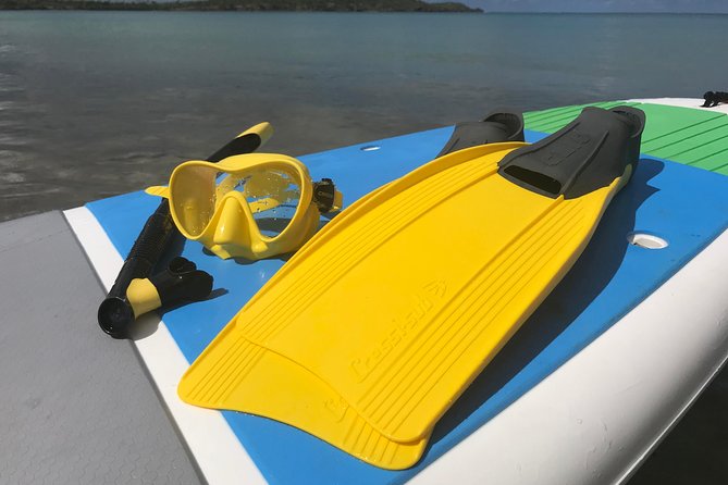 Snorkeling Lesson & Interactive Experience for Kids and Adults - The beach lesson comes first