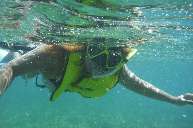 Snorkeling Lesson & Interactive Experience for Kids and Adults - Why the extra rental time adds value