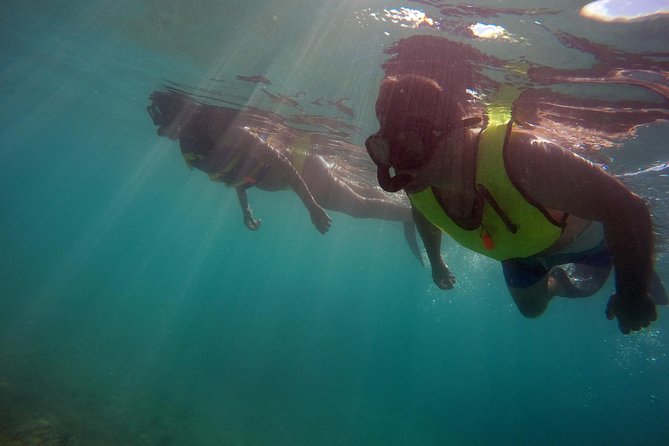 Snorkeling Lesson & Interactive Experience for Kids and Adults - The price and what you receive for $58