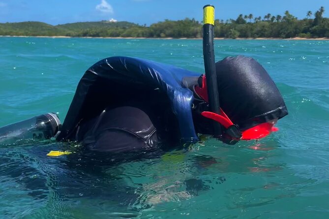 Snorkeling Lesson & Interactive Experience for Kids and Adults - Who should choose this experience