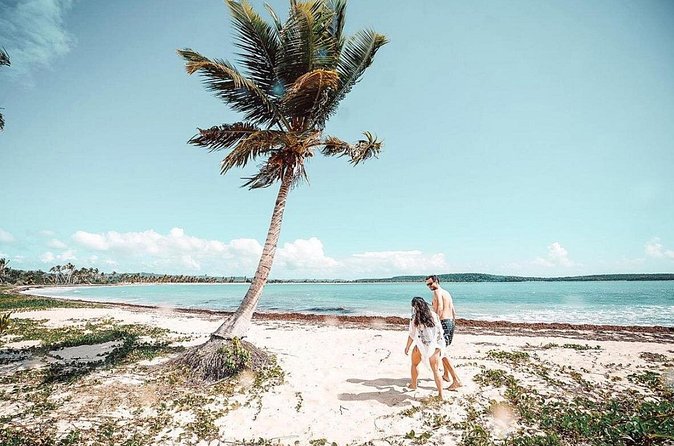 Snorkeling Tour to Vieques Island only 30 minutes away! - Snorkeling from the boat and time near shore
