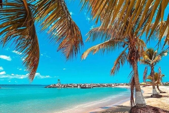 Stylish Airport Transfers in San Juan - The welcome message and driver contact