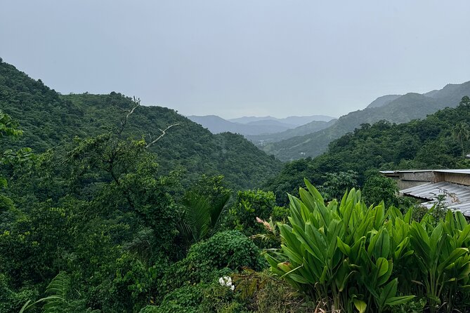 Sueños de Cafe - A Coffee Lovers Dream - Why this coffee tour feels different