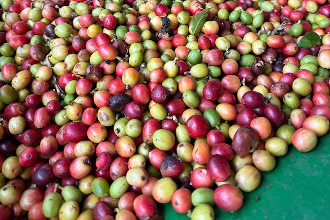 Sueños de Cafe - A Coffee Lovers Dream - The Cordillera Central drive takes about 90 minutes